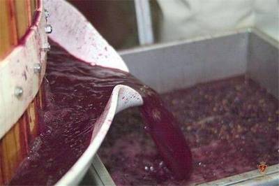 朋友圈網紅--自釀紅酒,竟出自臟亂差的地下室