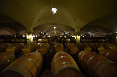 小葡萄撬動大產業