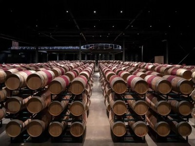 青銅峽市葡萄酒產(chǎn)業(yè)專家服務基層活動啟動