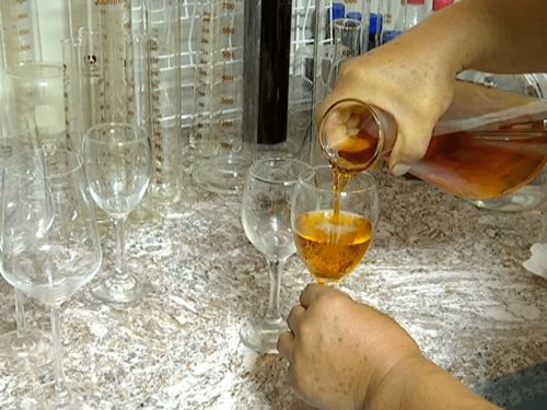 新站林場(chǎng)茂興營林股 發(fā)展林下經(jīng)濟(jì) 走生態(tài)致富路