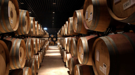 鍛造賀蘭山下&ldquo;紫色&rdquo;長廊 永寧縣精心釀造&ldquo;醉美&rdquo;產業