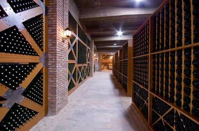 【做中國的世界酒】新疆鄉都酒業高品質葡萄酒進入我縣